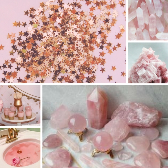 Meet your Posher, Luna - Picture 4 of 9